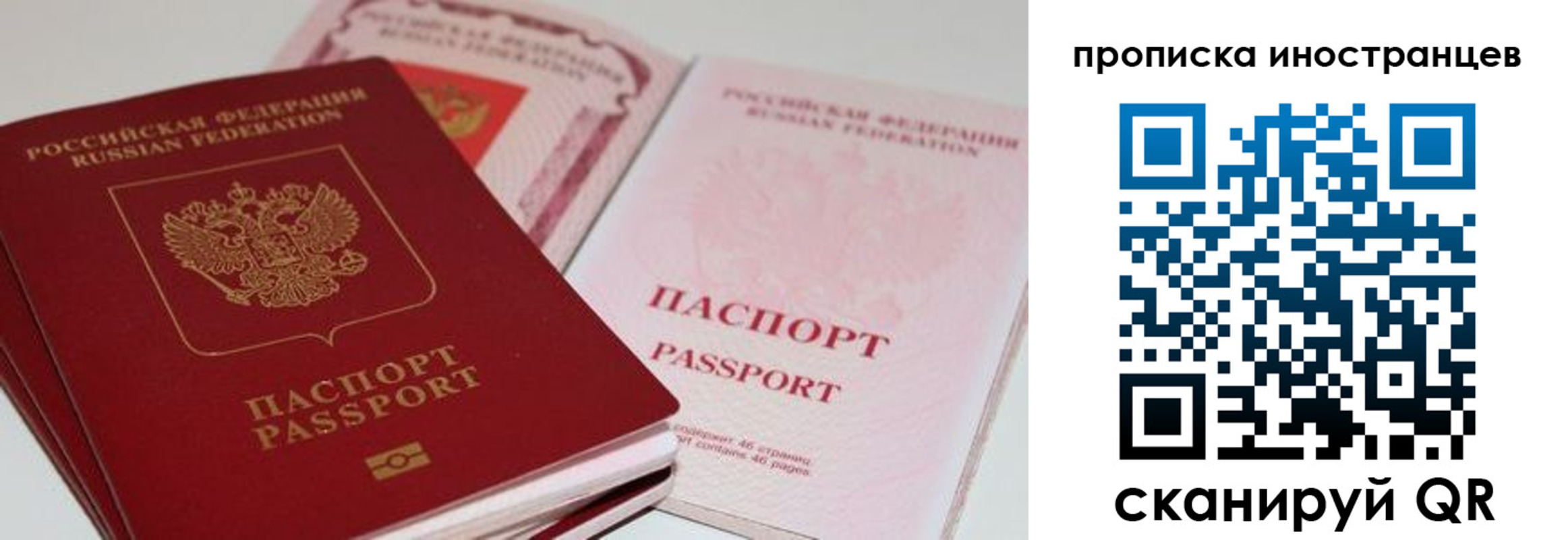 прописка поиск в Гудермесе